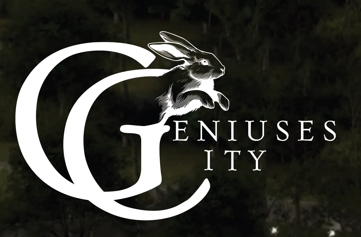 Land of Genius (8).webp